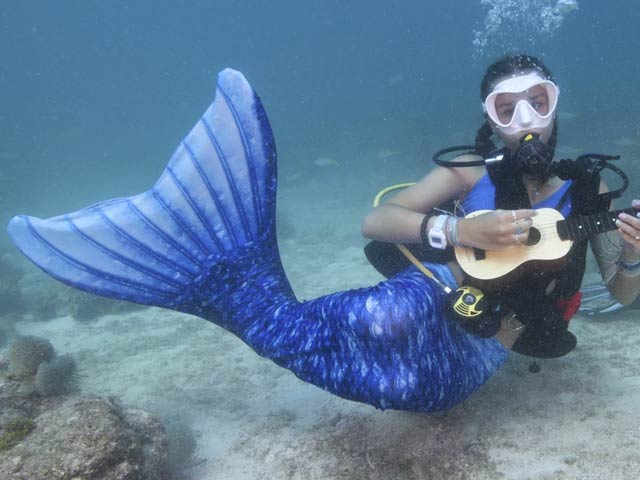 Organizing an underwater concert for marine conservation