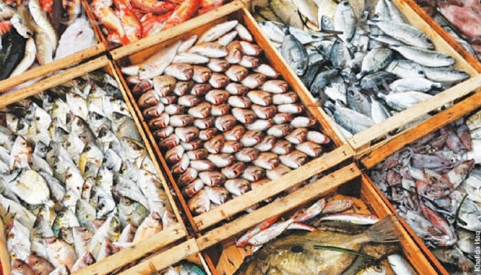 Pakistan's first export of fishery products worth 500 million dollars till May