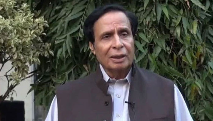 Parvez Elahi detained under 3 MPO for one month