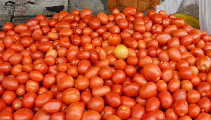 Smart increase in the price of tomatoes in Karachi and Lahore