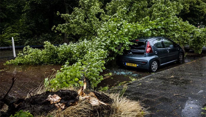 Storms and rains in the Netherlands and Germany, 2 people died in accidents