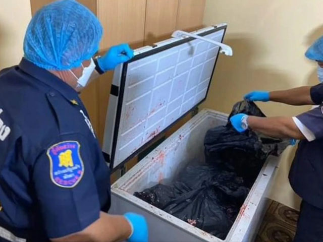 Thailand;  Body parts of German businessman found in freezer