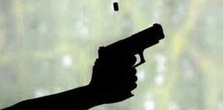 The mother-in-law killed the daughter-in-law by shooting her in the head over a trivial matter