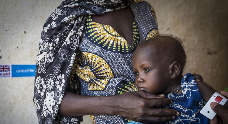 WFP funding crisis leaves millions stranded without aid in West Africa