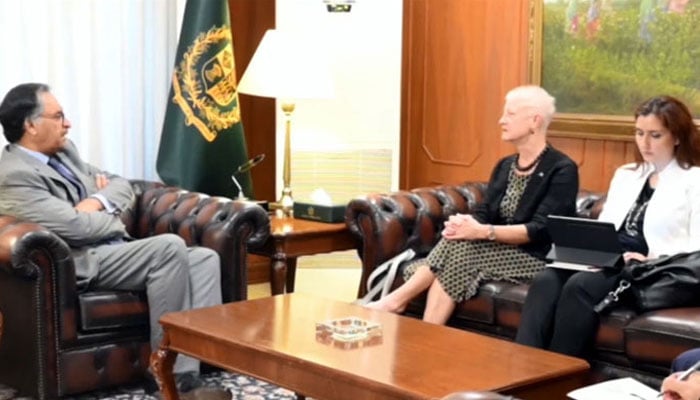 EU Ambassador meeting with Caretaker Foreign Minister, discussing issues of mutual interest Photo courtesy of Radio Pakistan