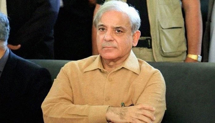 There should be an inquiry into the statement made by the President of Pakistan, Shehbaz Sharif There should be an inquiry into the statement made by the President of Pakistan, Shehbaz Sharif