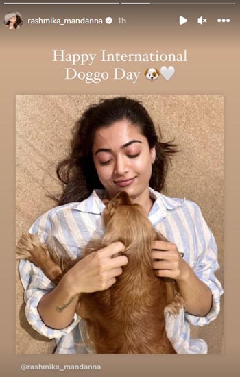 World Dog Day: Rashmika Mandana cuts a cake with her pet dog