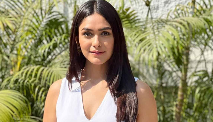 Mrunal Thakur is thankful to his co-stars for his success Mrunal Thakur is thankful to his co-stars for his success