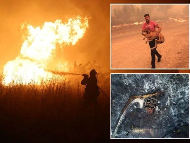 18 migrants died in a terrible fire in the forests of Greece The fire could not be controlled even on the fourth day in the forests of Greece, Photo: File