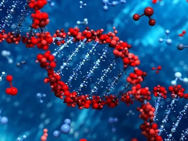 Major advances in the production of pure mRNA vaccines Japanese experts have achieved significant success in creating a 100% pure mRNA vaccine. Photo: File