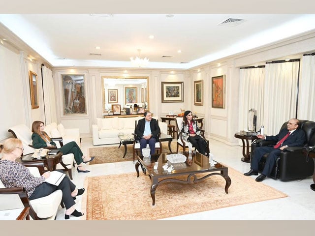 Meeting of British High Commissioner with Asif Ali Zardari