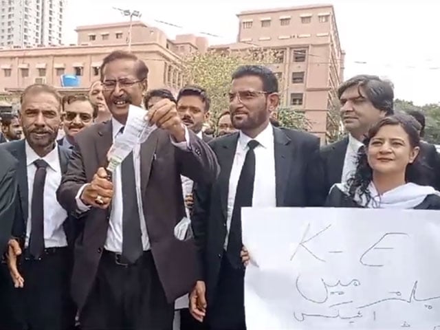 Lawyers protest against K Electric, expensive electricity and inflation, burn bills