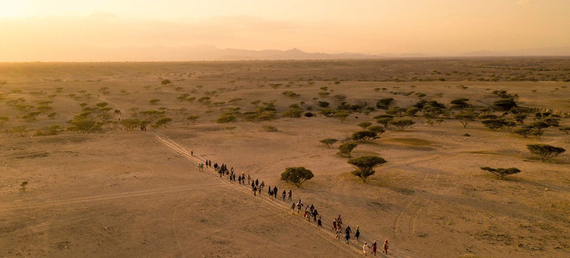 Migrants travel by foot and by vehicle across Africa in order to reach Europe and other destinations.