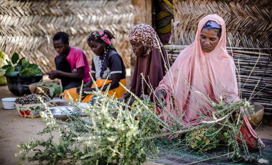 UN agencies continue to deliver aid in Niger