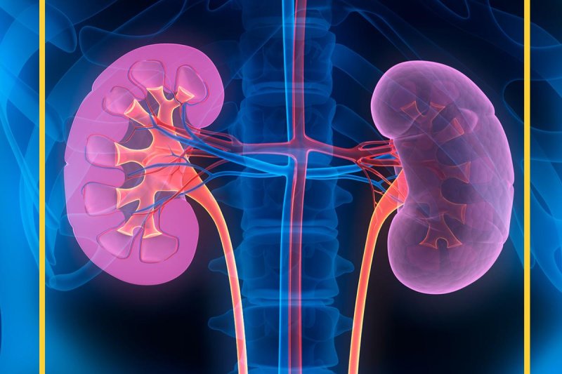 It is now possible to prevent kidney failure in diabetes 10 years earlier