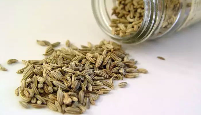 Numerous health benefits of using fennel