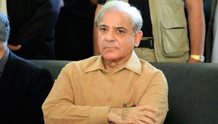 There should be an inquiry into the statement made by the President of Pakistan, Shehbaz Sharif