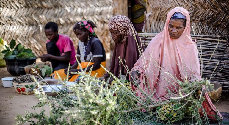 UN agencies continue to deliver aid in Niger