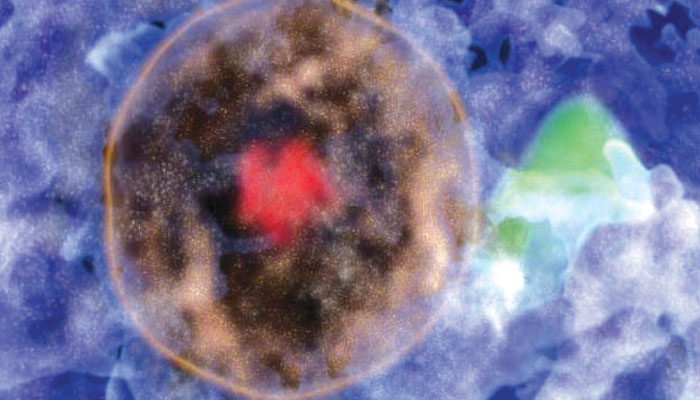 A billion light-year-wide 'galactic bubble' discovered A billion light-year-wide 'galactic bubble' discovered