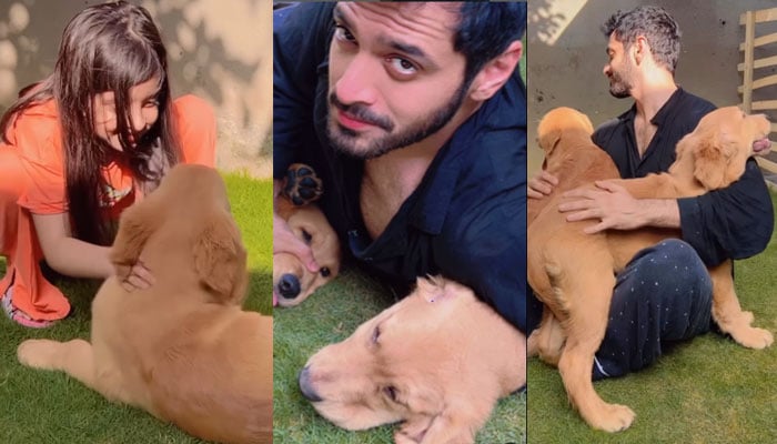 Wahaj Ali shared the video with his pet dogs Screen grab