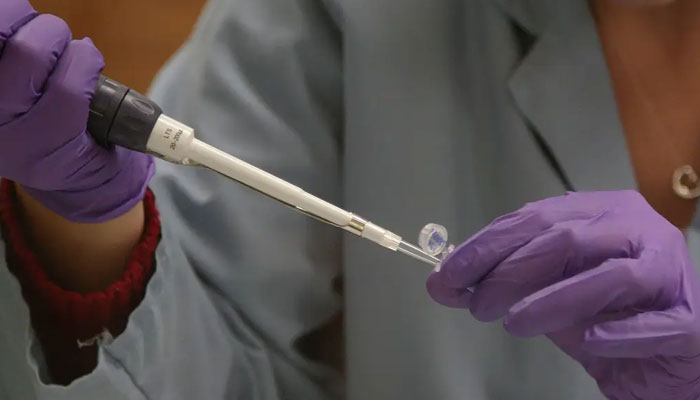 Japan approves experiments on human animal embryos ---File photo
