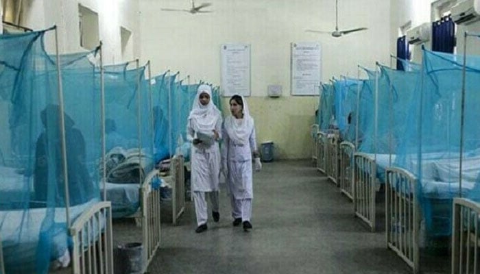 53 more dengue patients reported in Punjab File photo
