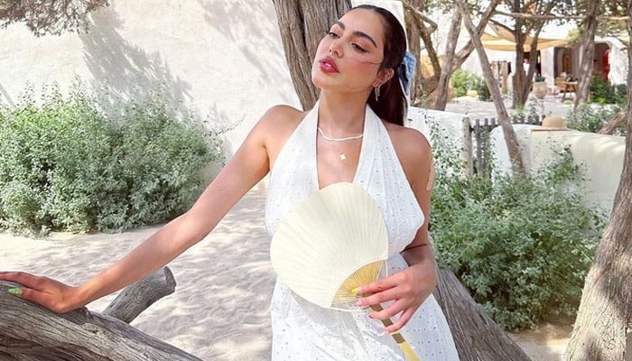 Two people were killed in a collision with the car of a Kuwaiti fashion influencer