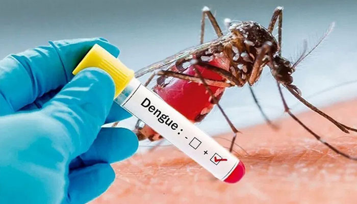 Punjab, 82 new cases of dengue reported —File photo