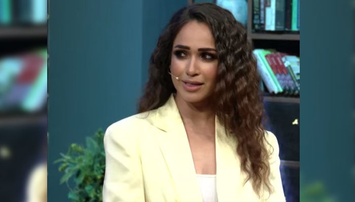 If I were not an actress, I would have been a thief, Faryal Mahmood ---File photo