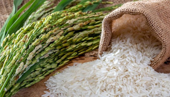 Indian ban on rice exports at 15-year high File photo