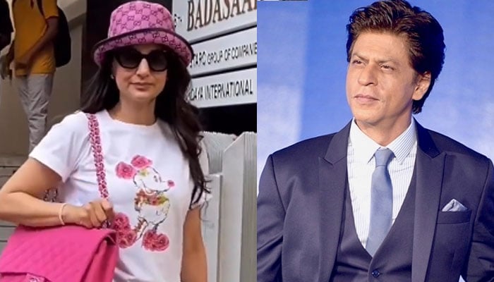 Shah Rukh has betrayed the box office again, Ameesha Patel Shah Rukh has betrayed the box office again, Ameesha Patel