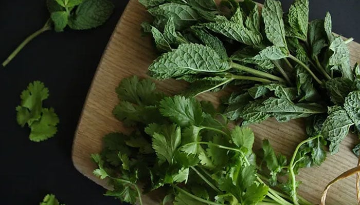 6 Easy Ways to Keep Coriander and Mint Fresh ---File photo