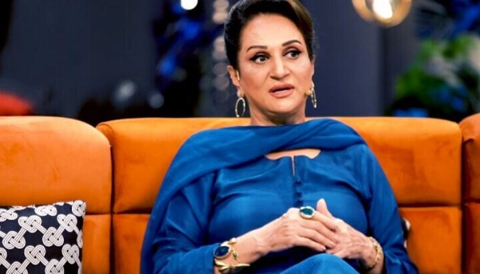 Anyone can say anything to anyone on social media, Bushra Ansari Anyone can say anything to anyone on social media, Bushra Ansari