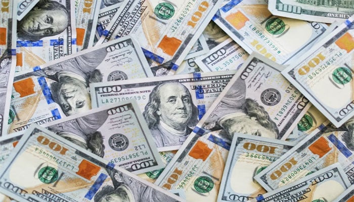 The dollar became 294 rupees 50 paise —File photo