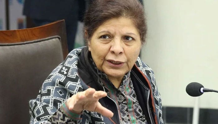 Accountability in institutions is important for the improvement of economy: Caretaker Finance Minister Caretaker Finance Minister Shamshad Akhtar - file photo