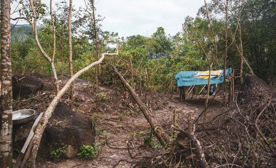 Viet Nam: UN rights office condemns crackdown on climate activists
