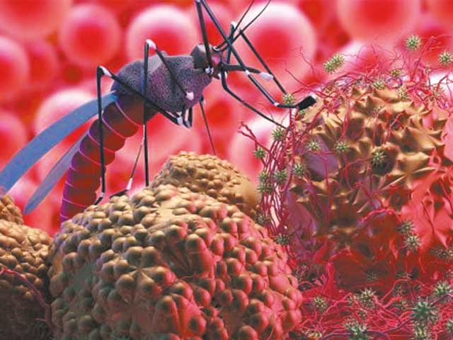 An alarming increase in malaria cases in Sindh