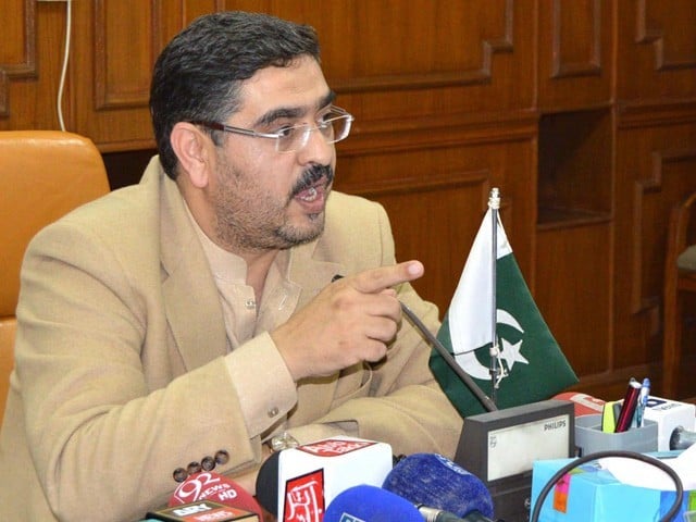 Federal Government's decision to approve development projects against the mandate The caretaker prime minister reconstituted the executive committee of the National Economic Council