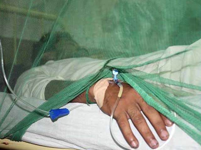 Khyber Pakhtunkhwa;  Dengue cases started increasing rapidly, 5 districts declared high risk