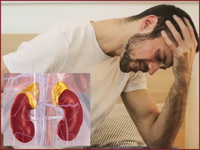 Discovery of a new fatigue-inducing disease Discovery of a new fatigue-inducing disease
