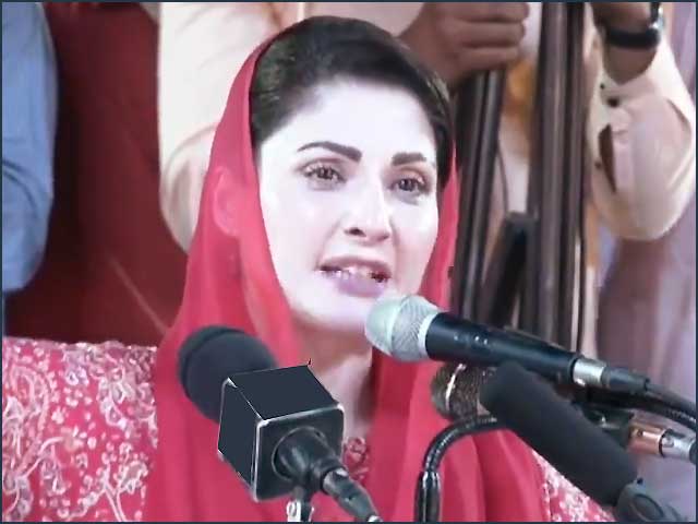 Those who minus Nawaz Sharif have become minus themselves, Maryam Nawaz