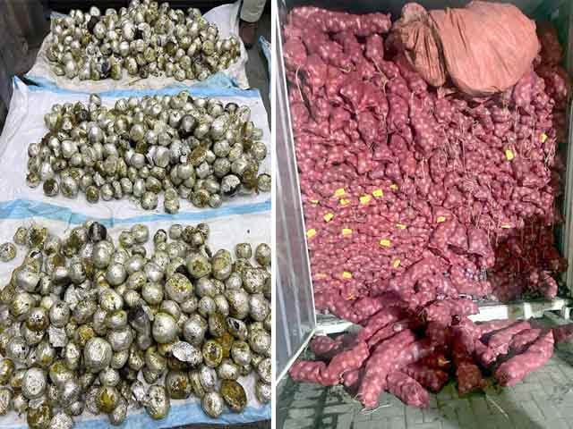 More than 3 maunds of hashish hidden in onions were recovered from the book container of Qatar