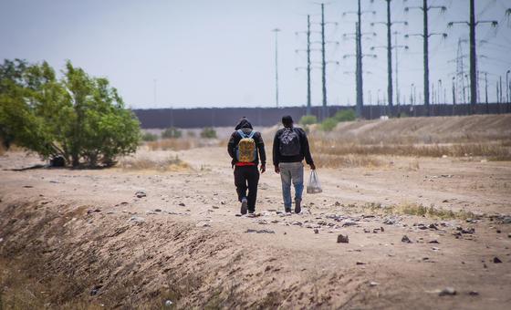 US-Mexico border, ‘world’s deadliest’ overland migration route: IOM
