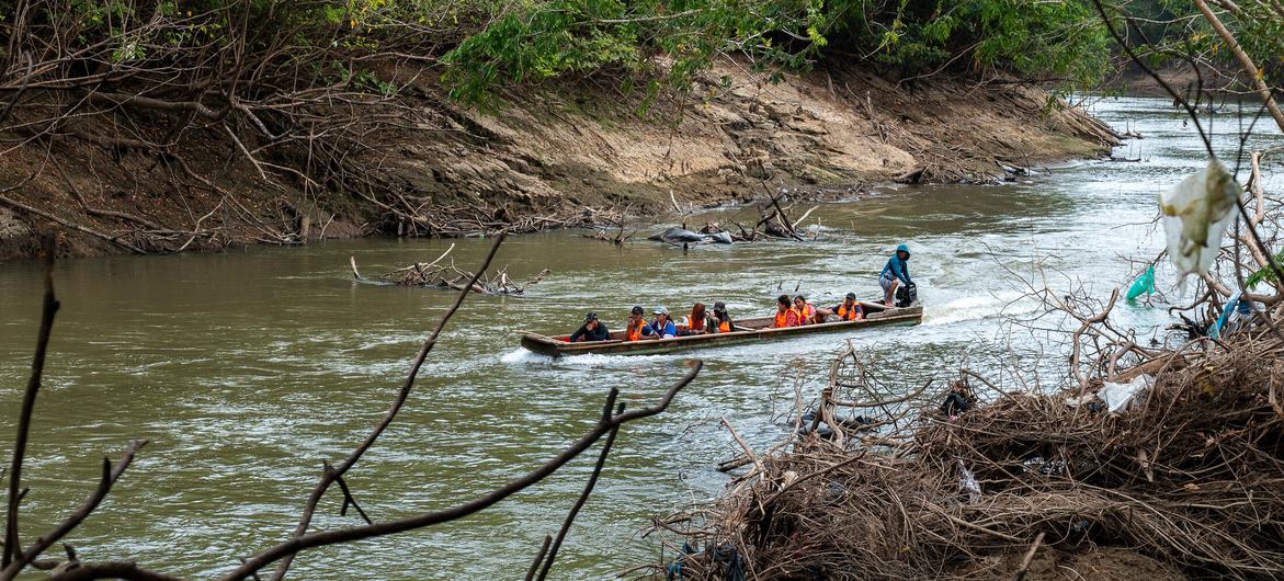 Child migrants crossing a river in Panama. Child migrants crossing a river in Panama.