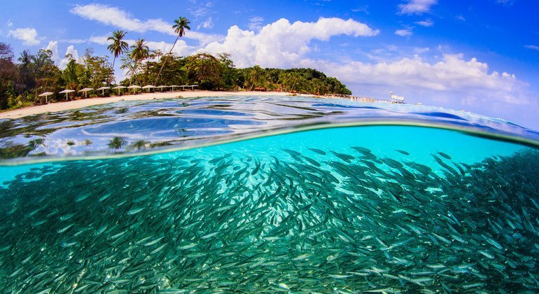 A school of fish gathers off Lang Tengah Island, Malaysia. A school of fish gathers off Lang Tengah Island, Malaysia.