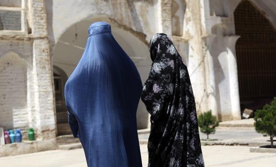 World News in Brief: Afghan rights, Armenia-Azerbaijan ceasefire, road safety campaign