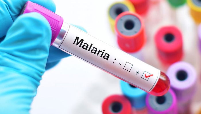 A steady increase in the number of malaria patients