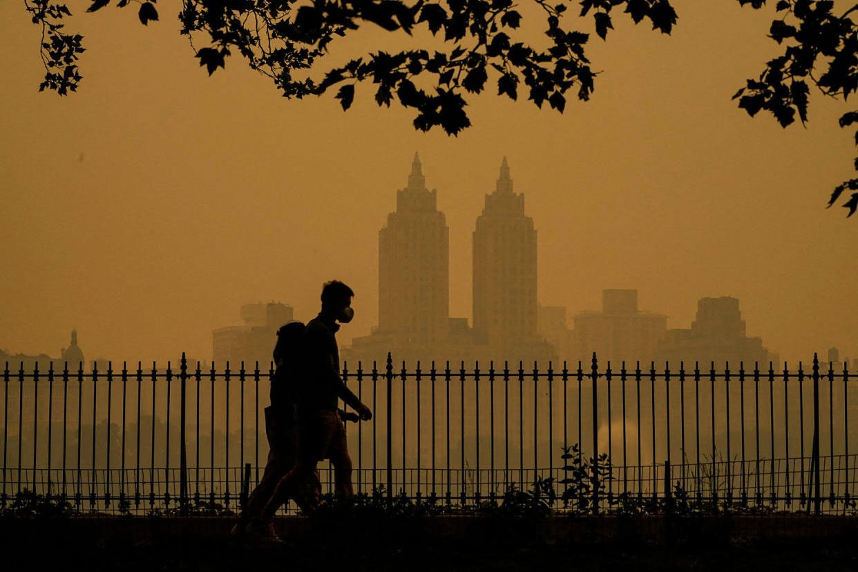 Air pollution can increase the risk of stroke within five days