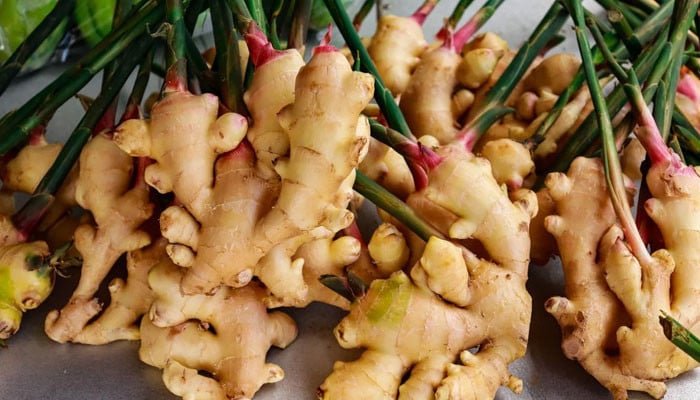 Charismatic health effects of daily ginger consumption