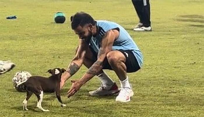 During the training session of the Indian team, the dog also reached the ground